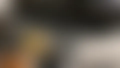 Die Frau zwischen den Bildern