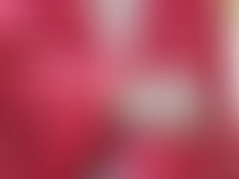 Meine Kuschel decke teil 2 😜