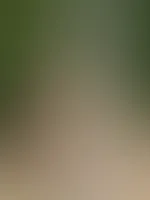 Heiße Nacktfotos aus dem Wald Teil 2
