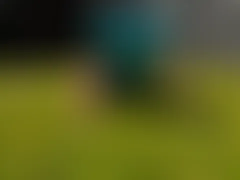 ⚽️🍺⚽️