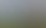 Ein kleines Bilderupdate für meinen Feed.