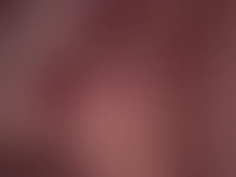 Boobies