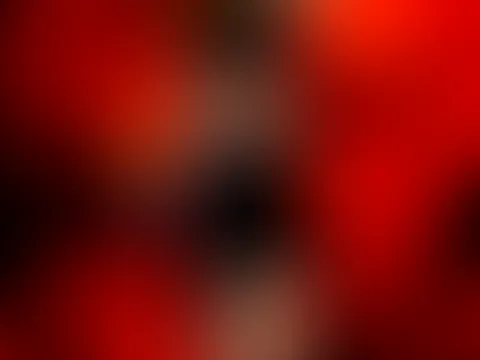 Sexy neues Kleid