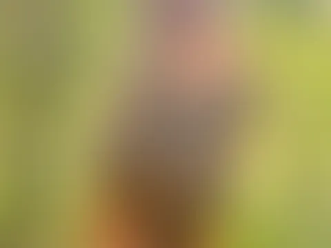 Hoch das Röckchen rein das Stöckchen! Hast du Wünsche Fantasien oder was anderes? Schreib mir eine private Nachricht und ich werde dir deine versautesten Wünsceh erfüllen hier!
