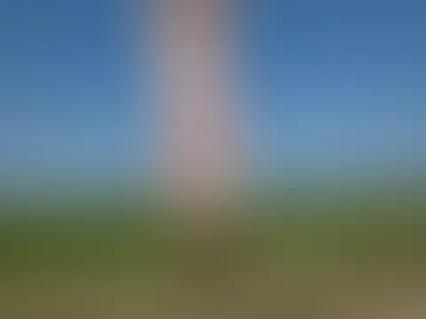 Häschen in der Natur