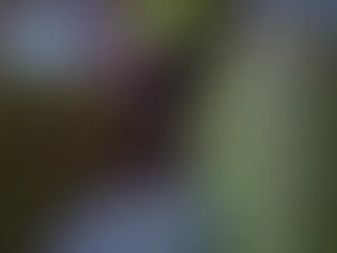 Ich mit geilem Neonfarbenen Dessous Ganzkörper, Umschnall Dildo Drum, und eine geile Brust Sauger steht ihr auf solche Fetische, dann kommentiert mal ich weiß ich bin total versaut und brauche es auße