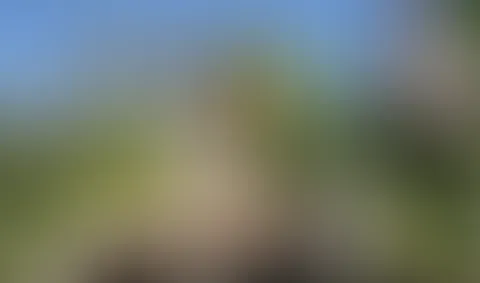 meine beste freundin massiert mich im garten und reitet auf mirđ„°đđ„”