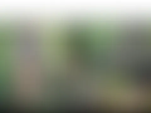 Kehlenkratzen inklusive …. Nicht vergessen ,,35Grad“ -Code noch gültig ❤️ Grüßle P**snelke