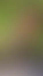 Diesen Sonntag war es so warm, da bin ich in die Berge geflüchtet. Da waren die Temperaturen angenehm
