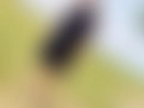Traumhaft schön hier🥰
