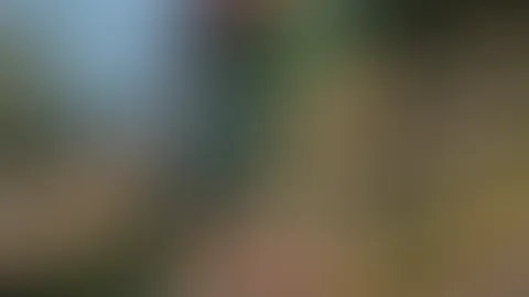 guten morgen