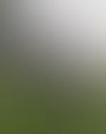 Abo schon gegönnt?😈Mein geiler Körper wird dich und deinen 🍆 verzaubern😈😘
