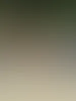 Ich wünsche euch allen einen wunderschönen und sonnigen Start ins Wochenende