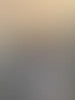 Na soll ich bei dir mal Saugen? đ