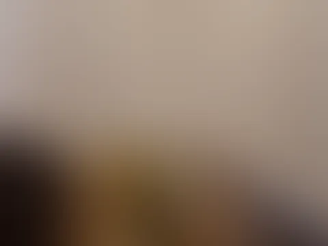 V. I. P P**i Feed Video Nr. 1