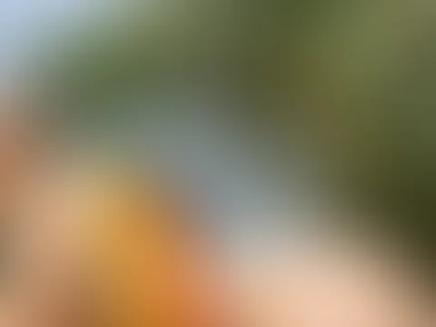 Wer 🇩🇪 : 🇨🇮 richtig tippt bekommt ne fotoreihe gratis Anleitung: schicke mir ein Bild von deinem s*****z mit deinem 🇩🇪🇨🇮 tip 🥵 ich sage 3:1 für Deutschland