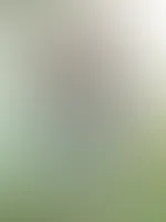 Mal wieder ne Runde um den See gemacht und ein stilles Örtchen gefunden