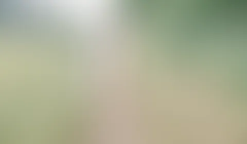 V. I. P P**i Feed Video Nr. 4 (Outdoor)