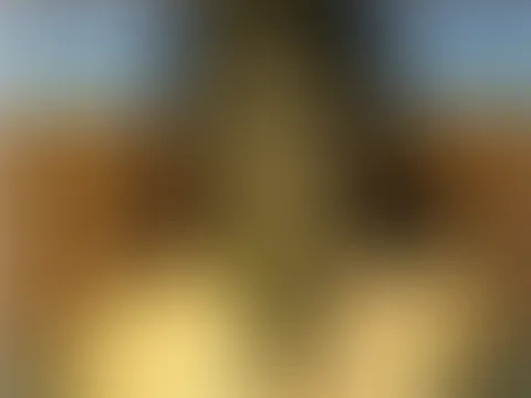 Was passiert wohl mit der Zucchini? ðŸ¤