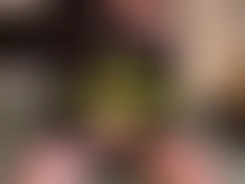 Geiles User Video auf Wunsch... Strip, Lush , Dildo und Selflove. 14 Minuten.