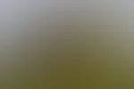 Sonntagsmotivationsbild diesmal mit der hübschen Jana - oder gefällt euch der geile schwarze 926 noch besser? - Jana oder der Fendt???
