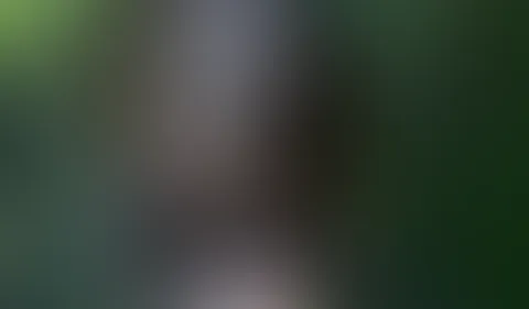 Blowjobs bedeuten DANKE!