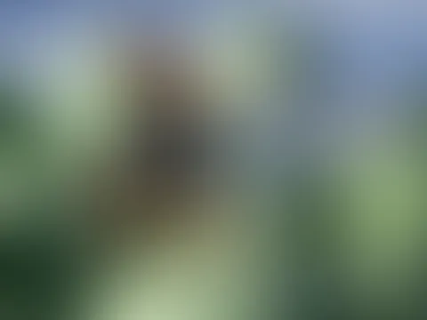 Kalendershooting đ