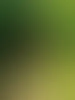 Hier noch ein Bild aus dem aktuellen Album đ gönnt es euch fĂŒr noch mehr nackte Haut đ€€â€ïž