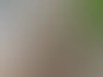 Ich kann es einfach nicht lassen mit dem geilen Saugdildo. Das Video gibt's im Abo kostenlos😉