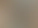 Nahaufnahmen meiner unrasierten Bikinizone