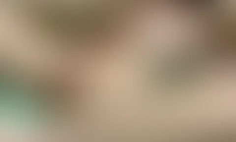 SB Heute