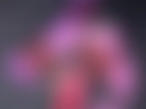 🔞🔥 Lieblingstoys 🔥🔞