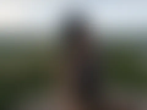Feuchte Aussichten