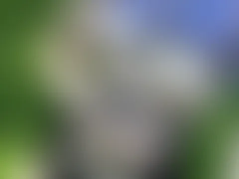 💖😘