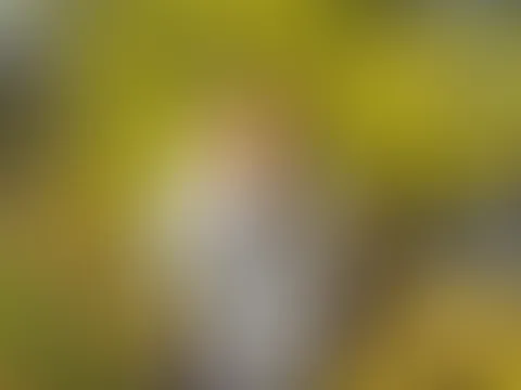Guten Morgen, ich schicke dir einen Kuss und wünsche dir ein schönes Halloween-Wochenende. ❤️💋