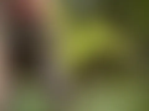 Dieser Waldweg hat überraschend viele Ecken für Unfug 😏😈