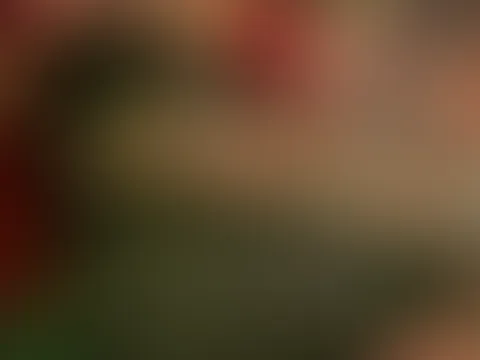 In heißen Dessous heimlich aus dem Schlafzimmer .