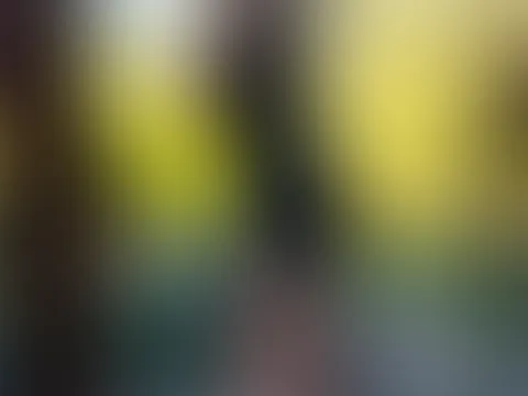 Ich liebe einfach Kleider und dazu die perfekten High Heels. Es gibt für mich nichts Schöneres, als in ein elegantes Kleid zu schlüpfen, das die Figur schmeichelt, und die passenden High Heels zu trag