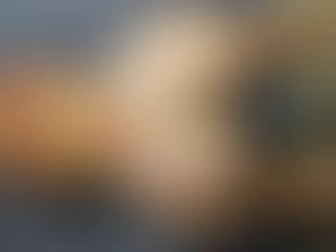 Geiler a***h liebt s******e und s****a. Füllt mich aus!