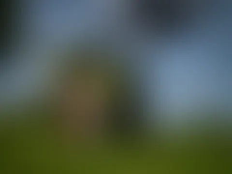Kalendershootingbilder mit dem MB Trac
