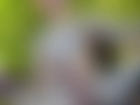 Nackt am See Nackt am See chillen und darauf hoffen das mich jemand ordentlich durchnimmt...Kommst du vorbei?