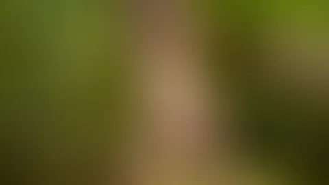 I’m standing in the woods wearing sexy lingerie, suspenders and high heels