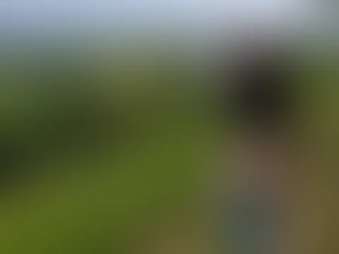 Liebe Grüße aus Stuttgart 🥰🫶🏽 gehst du mit mir wandern ?