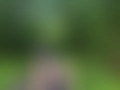 🌲💦 Mitten im Wald komplett die Kontrolle verloren 😈