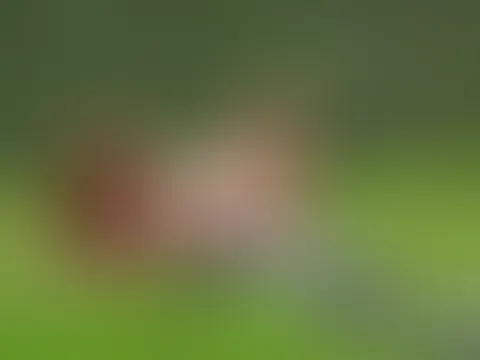 Mein Tag an einem Alten Steinbruch