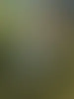 Ein kleiner Spaziergang schadet doch nie, oder? đ