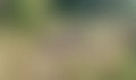 P***y Massage in der freien Natur