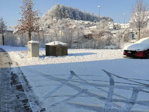 P**se auf den Waldweg