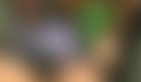 HAT MEIN NACHBAR MICH GESEHEN??