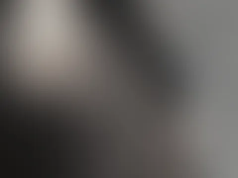 Mein đ